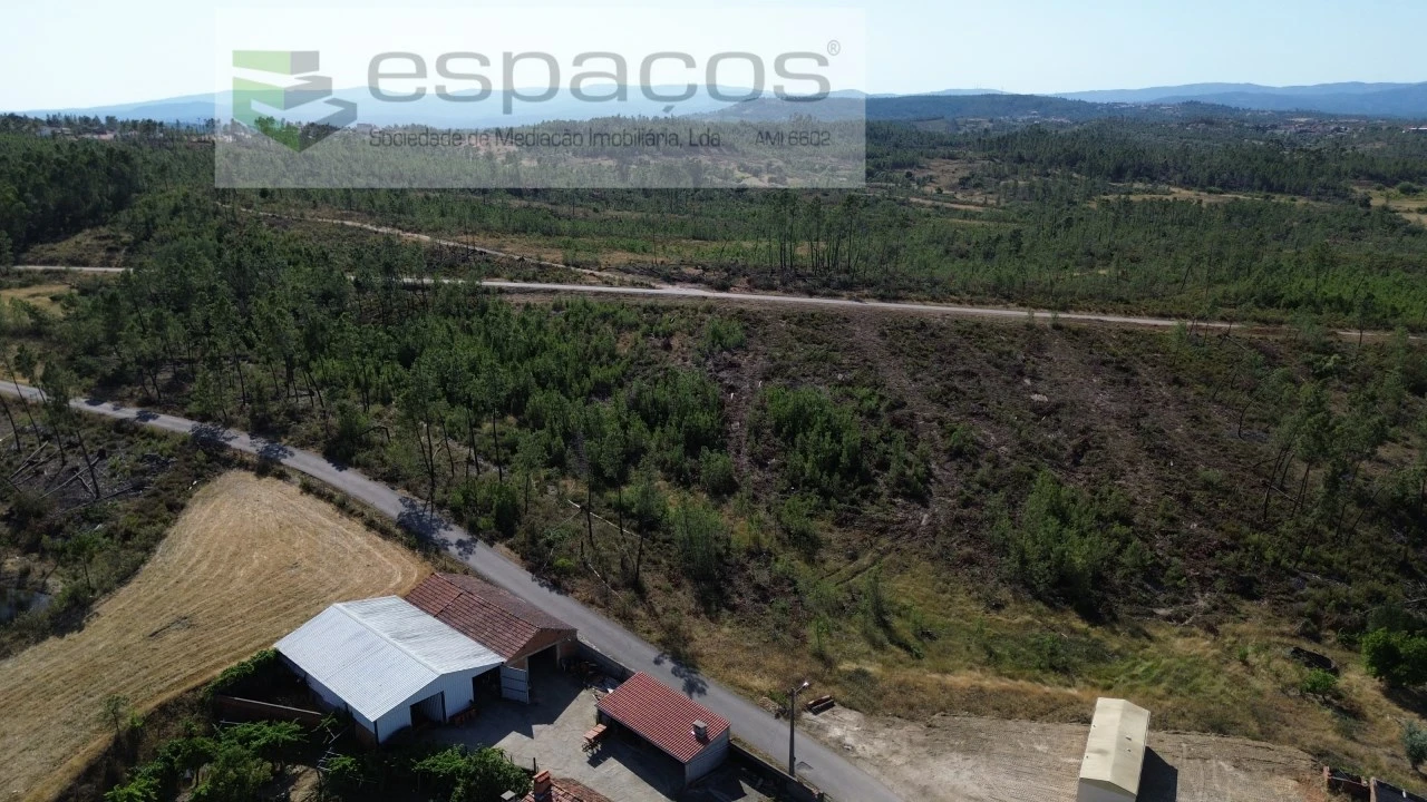 Terreno para Venda em Sarzedas Foto 3