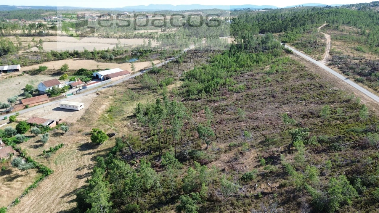 Terreno para Venda em Sarzedas Foto 4