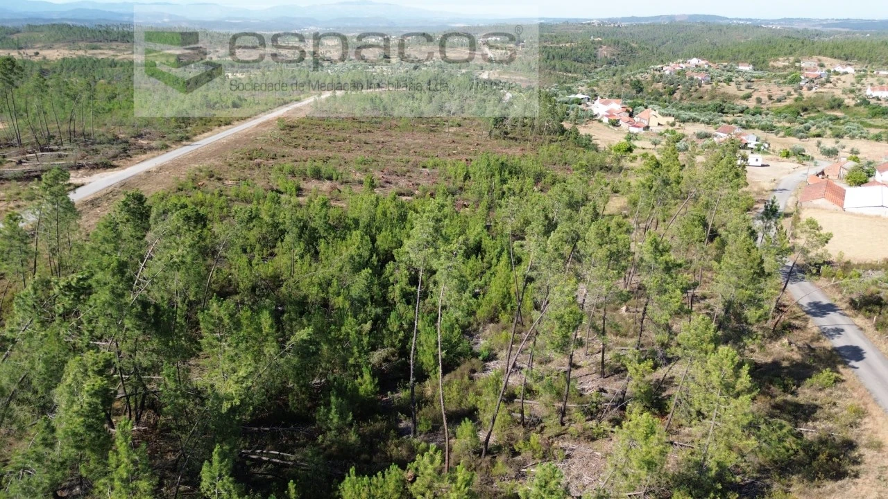 Terreno para Venda em Sarzedas Foto 6
