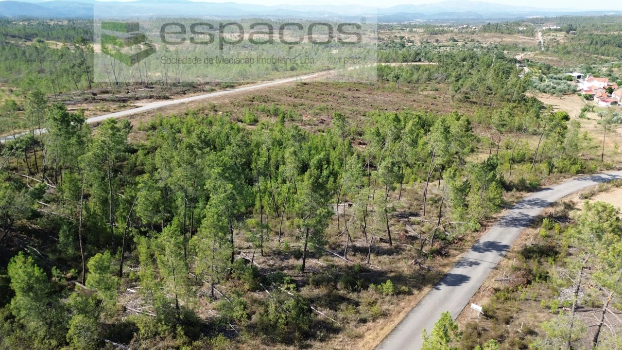 Terreno para Venda em Sarzedas Foto 7