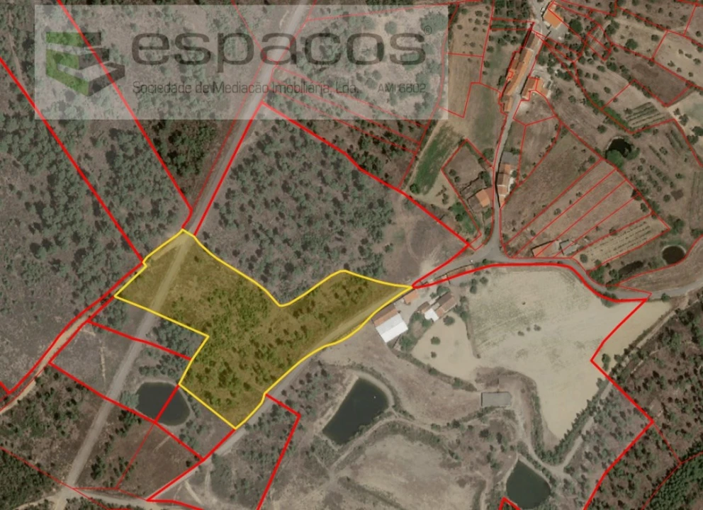 Terreno para Venda em Sarzedas Foto 8