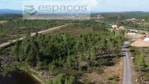 Terreno para Venda em Sarzedas