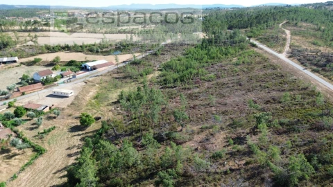 Terreno para Venda em Sarzedas