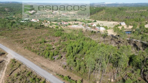 Terreno para Venda em Sarzedas