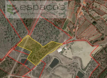 Terreno para Venda em Sarzedas