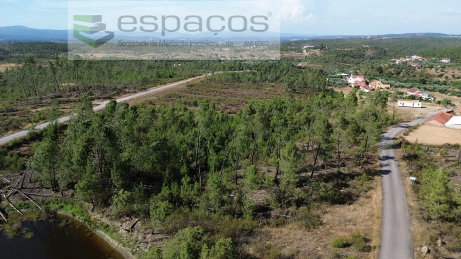Terreno para Venda em Sarzedas