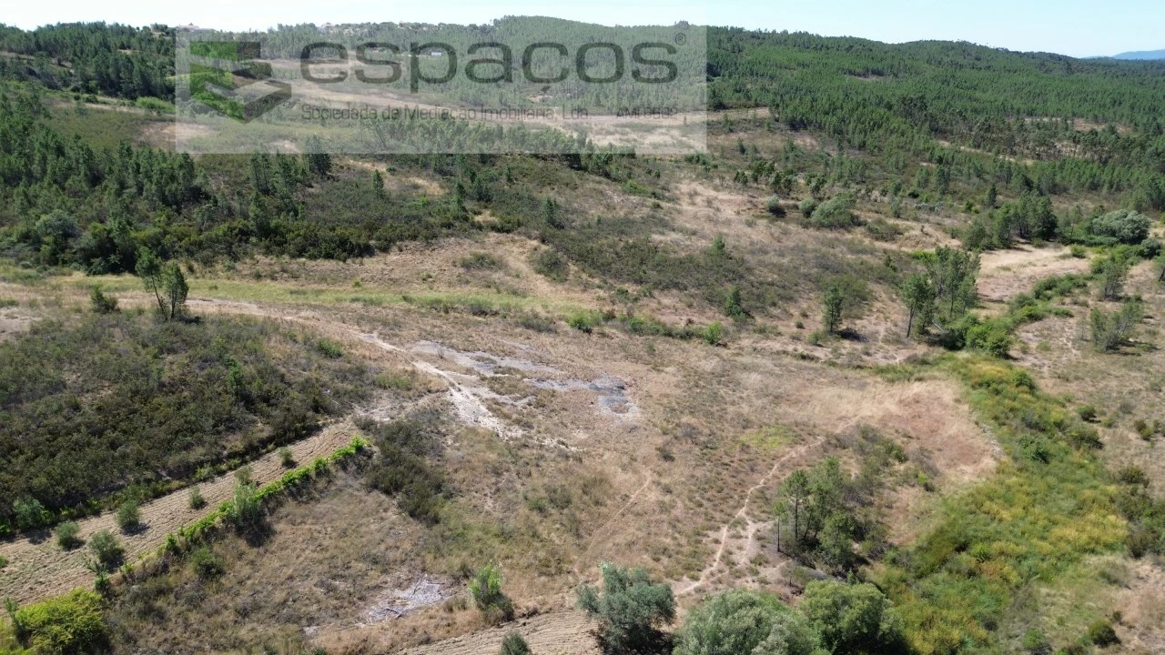 Terreno para Venda em Sarzedas Foto 2