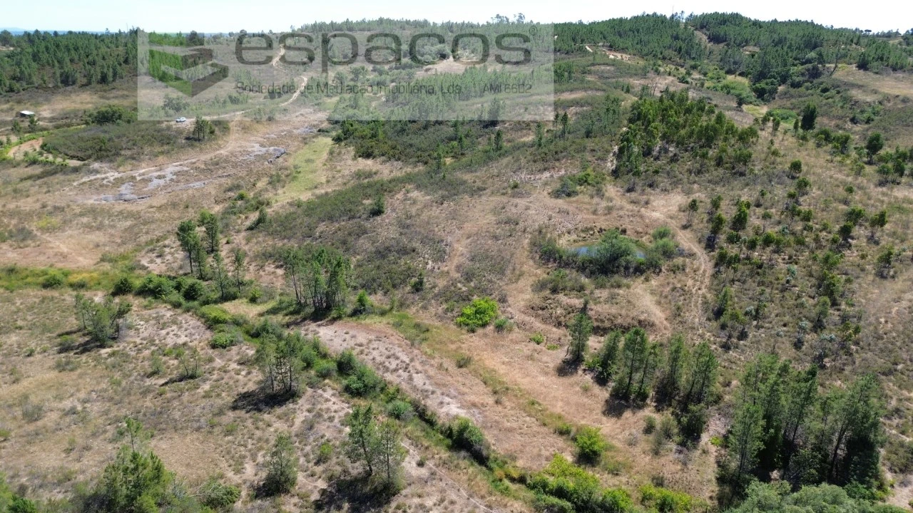Terreno para Venda em Sarzedas Foto 3
