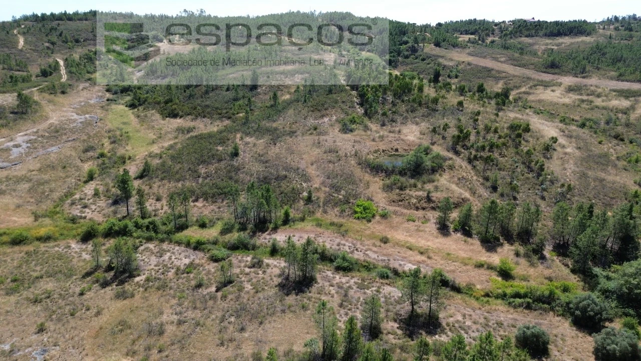 Terreno para Venda em Sarzedas Foto 1