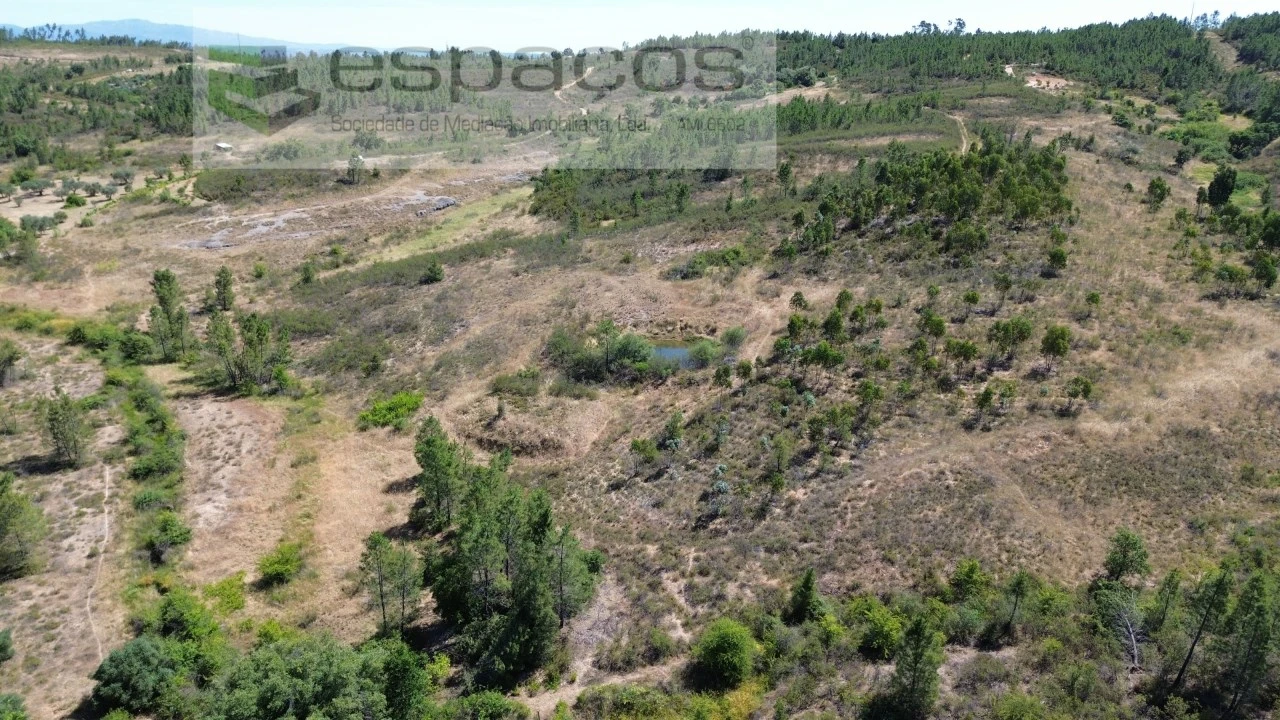 Terreno para Venda em Sarzedas Foto 5