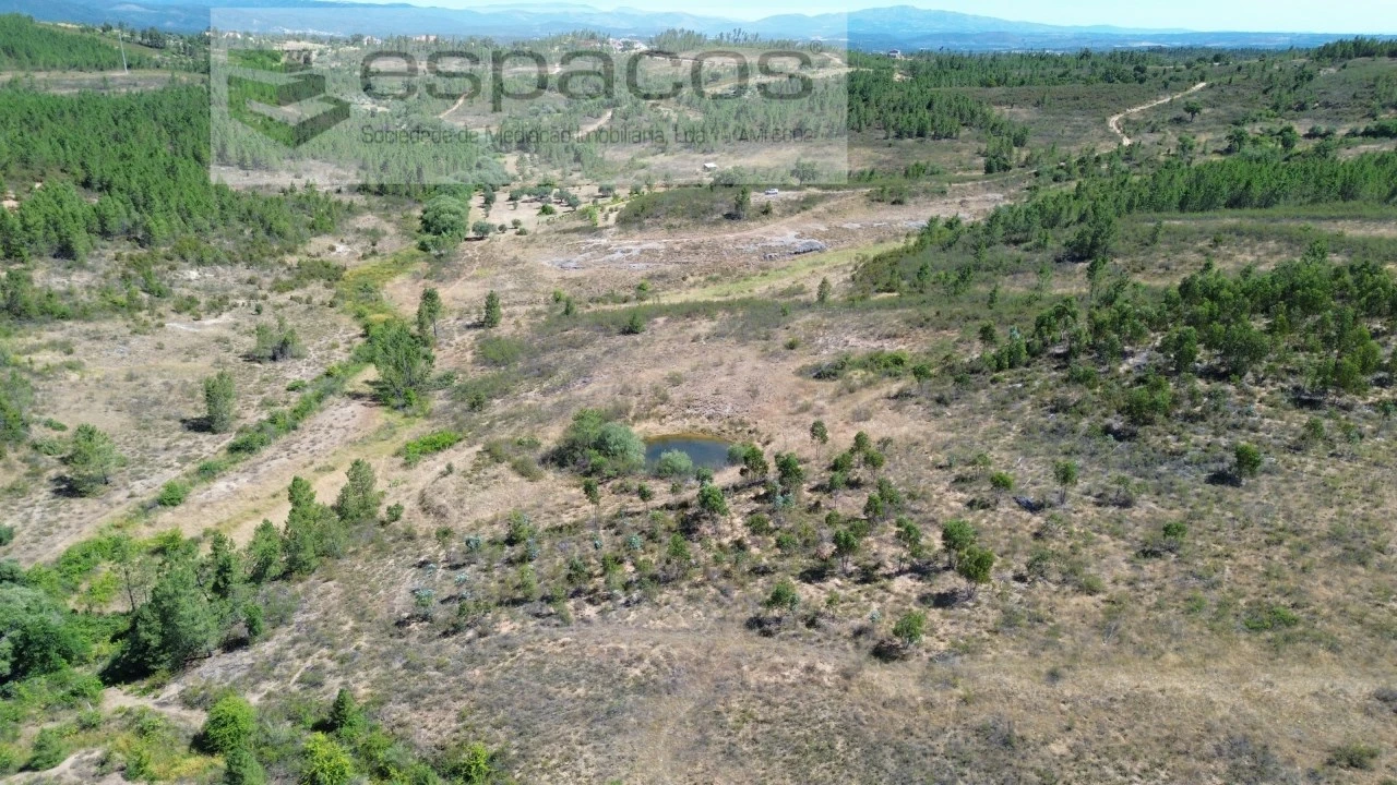 Terreno para Venda em Sarzedas Foto 6