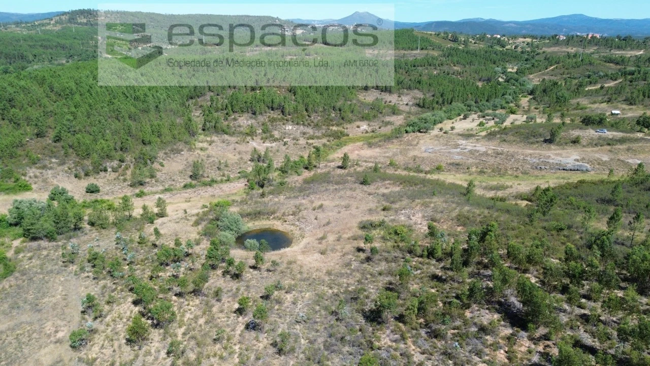 Terreno para Venda em Sarzedas Foto 7