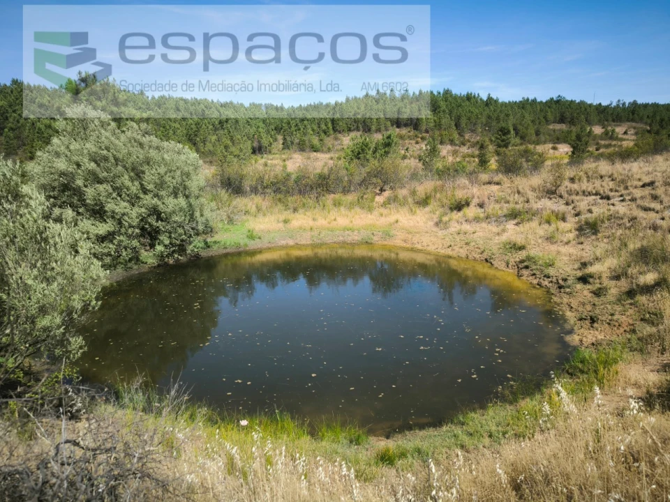 Terreno para Venda em Sarzedas Foto 10