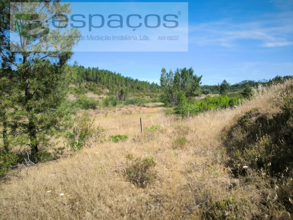 Terreno para Venda em Sarzedas Foto 12