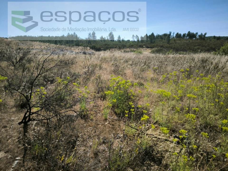 Terreno para Venda em Sarzedas Foto 14