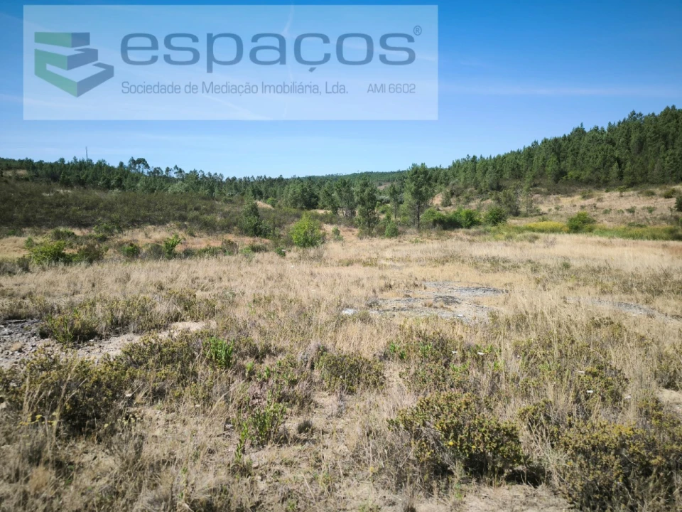 Terreno para Venda em Sarzedas Foto 15