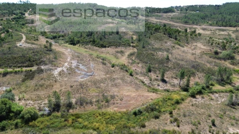 Terreno para Venda em Sarzedas