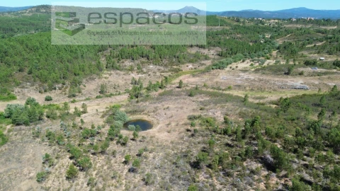 Terreno para Venda em Sarzedas