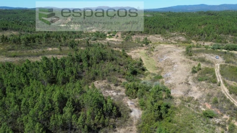 Terreno para Venda em Sarzedas