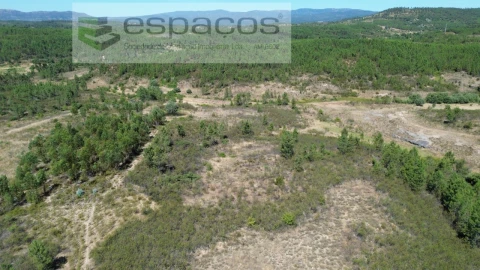 Terreno para Venda em Sarzedas