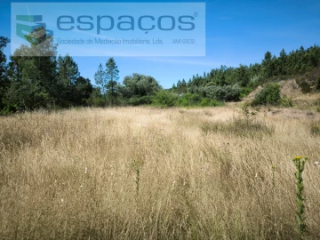 Terreno para Venda em Sarzedas