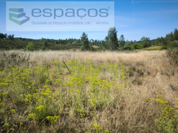 Terreno para Venda em Sarzedas