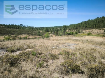 Terreno para Venda em Sarzedas