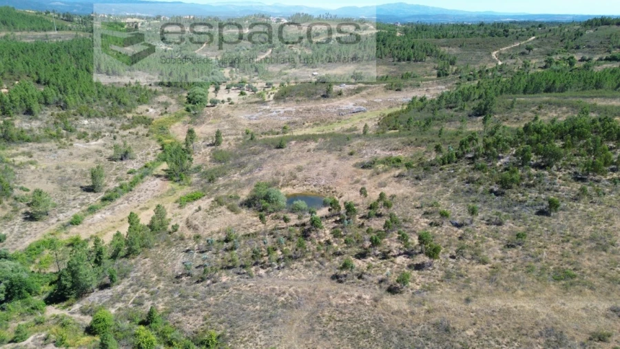Terreno para Venda em Sarzedas Foto 6