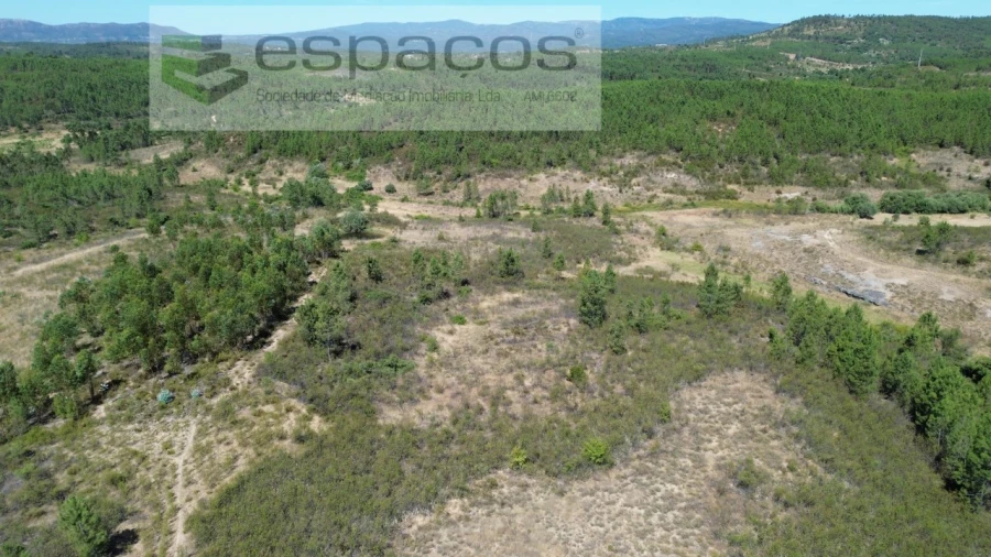 Terreno para Venda em Sarzedas Foto 9