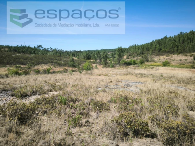 Terreno para Venda em Sarzedas Foto 15