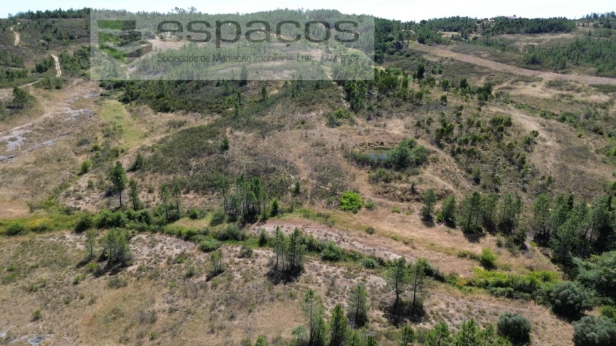 Terreno para Venda em Sarzedas