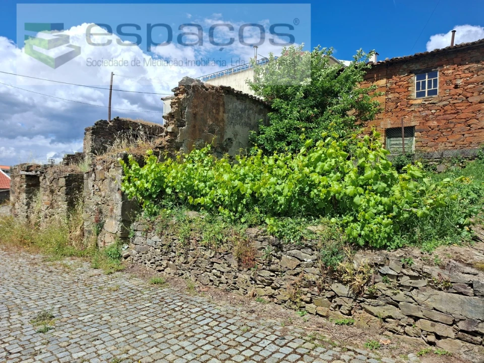 Moradia T1 para Venda em Silvares Foto 1