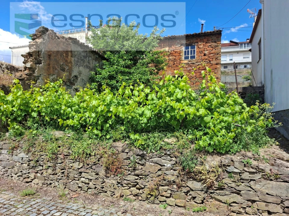 Moradia T1 para Venda em Silvares Foto 9
