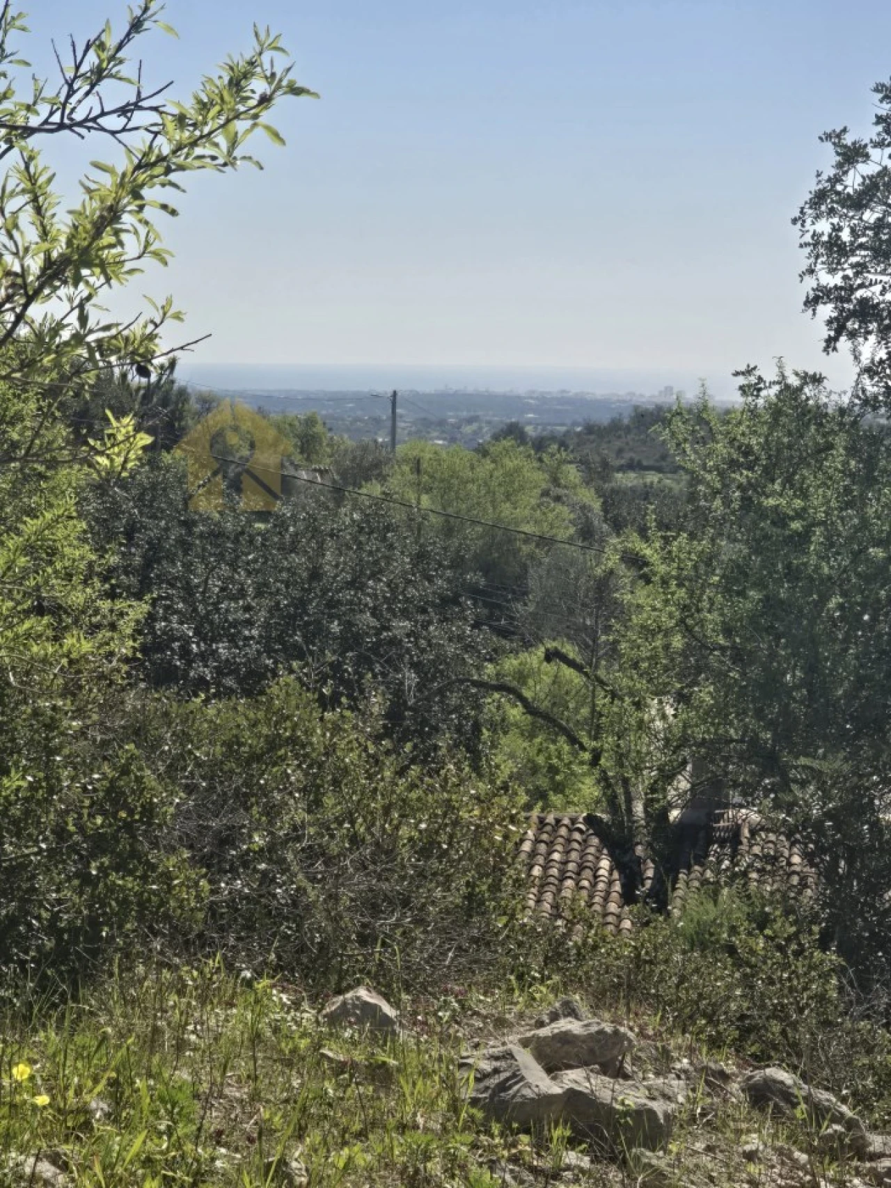 Terreno para Venda em Boliqueime Foto 1