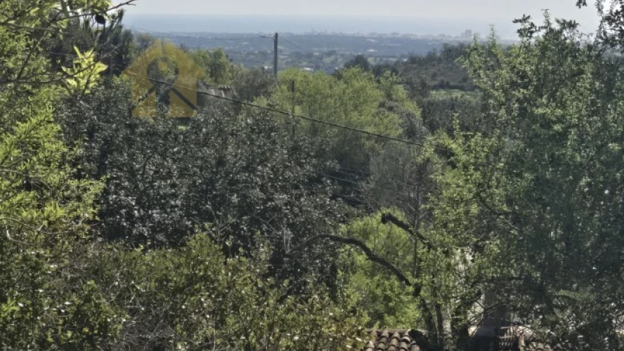 Terreno para Venda em Boliqueime