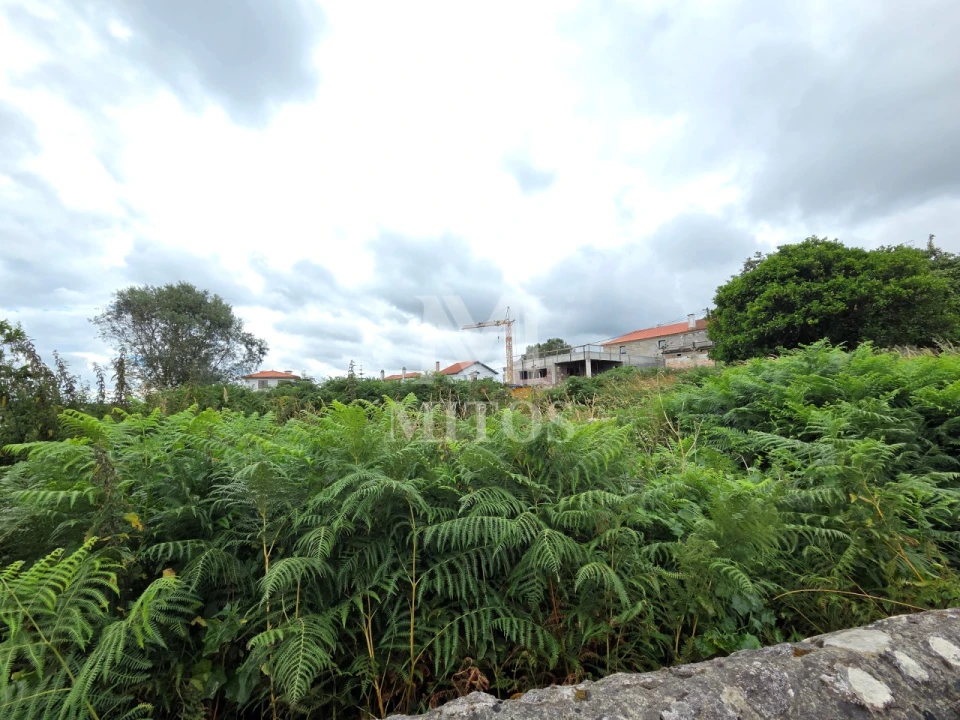 Terreno para Venda em Darque Foto 3