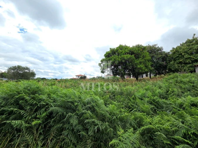 Terreno para Venda em Darque Foto 5