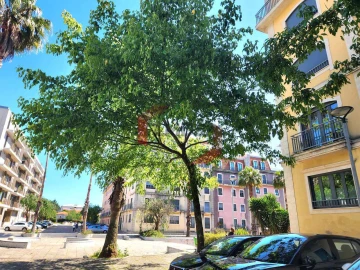 Apartamento T3 para Venda em Canelas