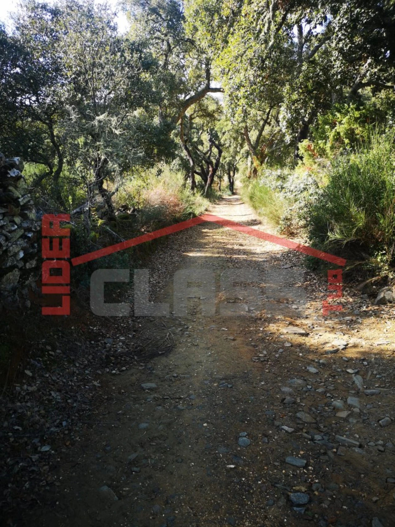 Terreno Agricola ou Rústico para Venda em Castro Vicente Foto 10