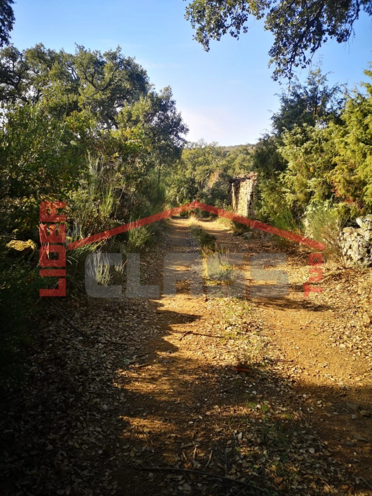 Terreno Agricola ou Rústico para Venda em Castro Vicente Foto 4