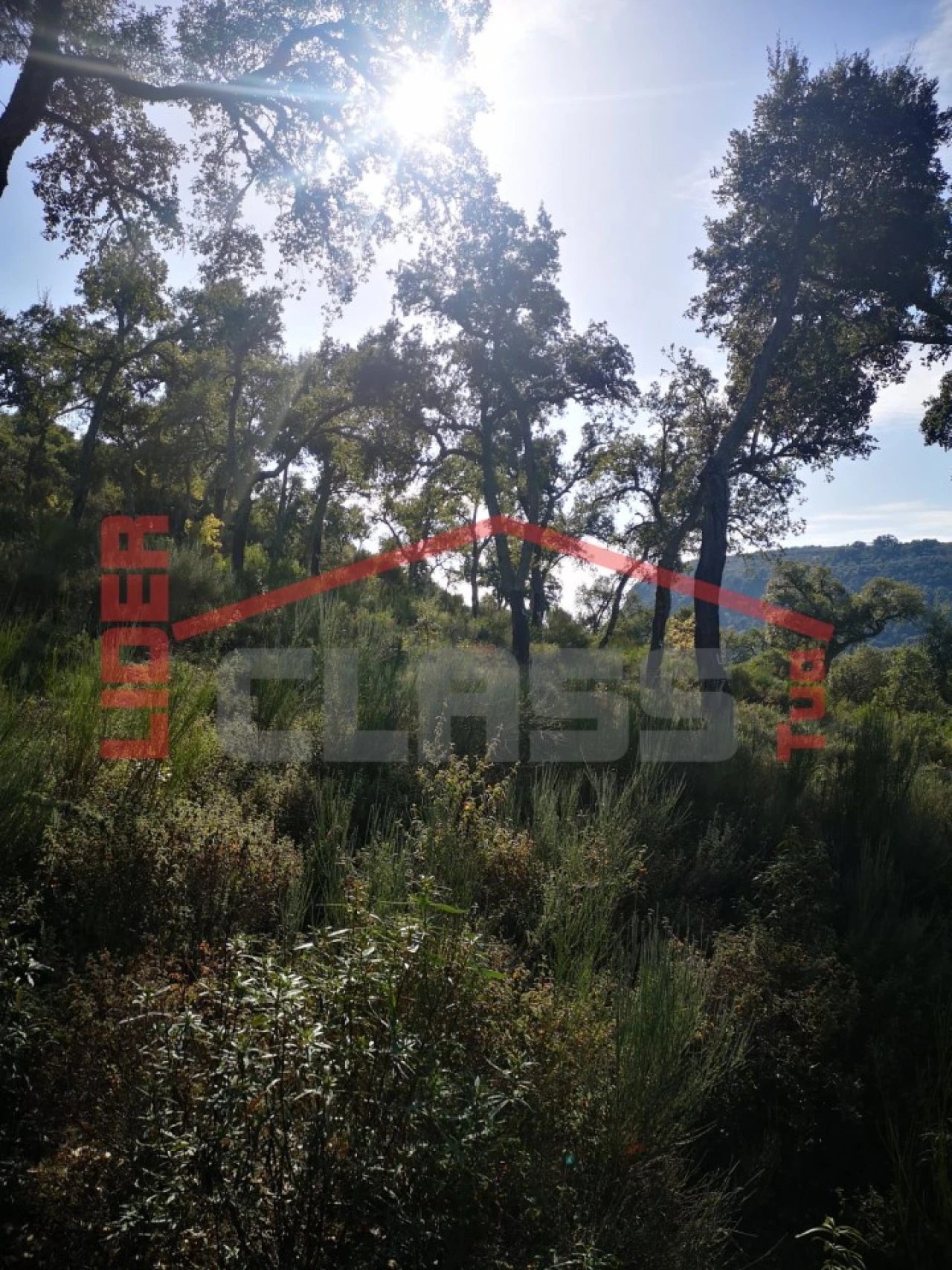 Terreno Agricola ou Rústico para Venda em Castro Vicente Foto 12
