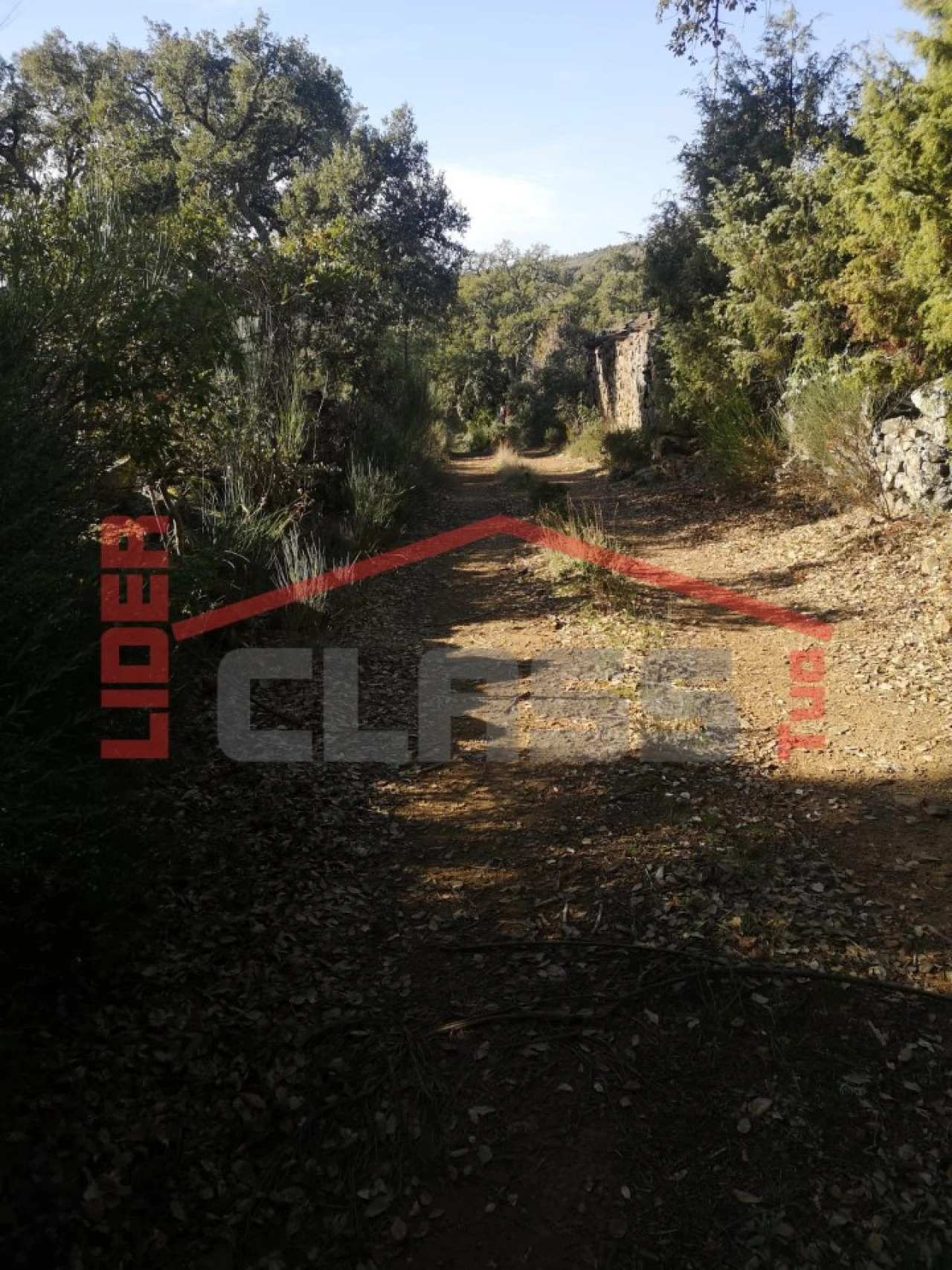 Terreno Agricola ou Rústico para Venda em Castro Vicente Foto 15
