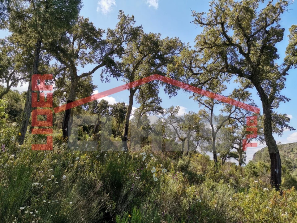 Terreno Agricola ou Rústico para Venda em Castro Vicente Foto 1