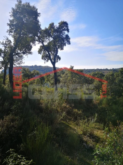 Terreno Agricola ou Rústico para Venda em Castro Vicente