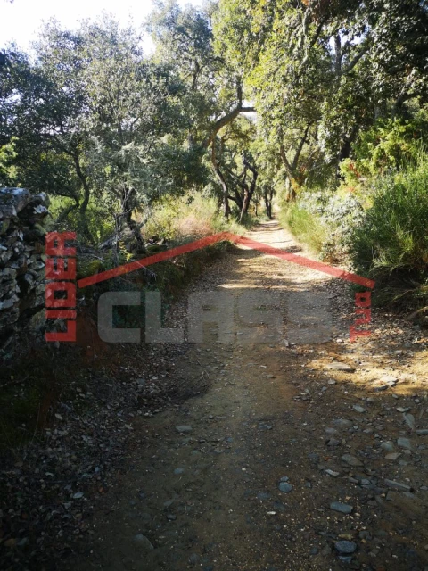 Terreno Agricola ou Rústico para Venda em Castro Vicente