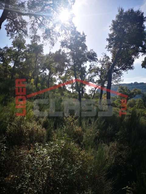 Terreno Agricola ou Rústico para Venda em Castro Vicente