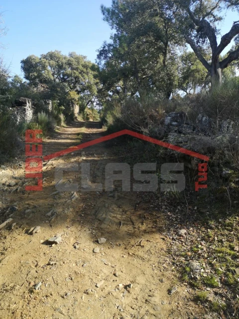 Terreno Agricola ou Rústico para Venda em Castro Vicente