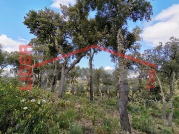 Terreno Agricola ou Rústico para Venda em Castro Vicente