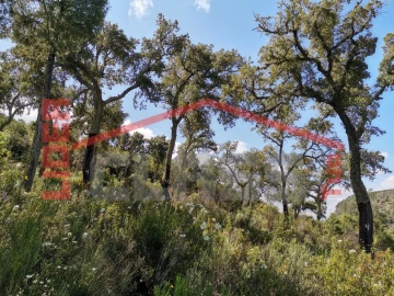 Terreno Agricola ou Rústico para Venda em Castro Vicente