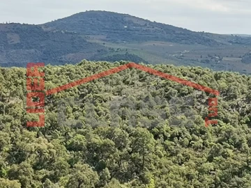 Terreno Agricola ou Rústico para Venda em Castro Vicente